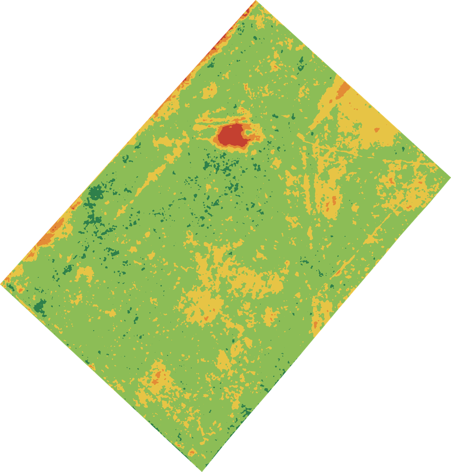 Clasificación NDVI en 5 rangos de vigor