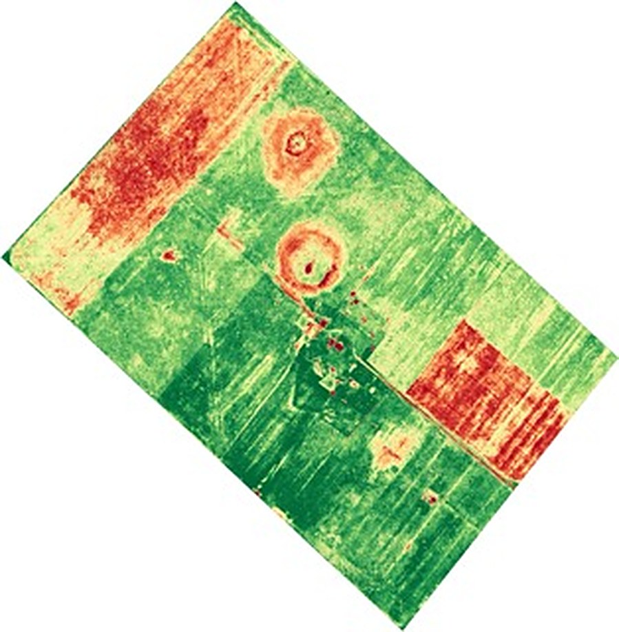 Clasificación NDVI de un lote